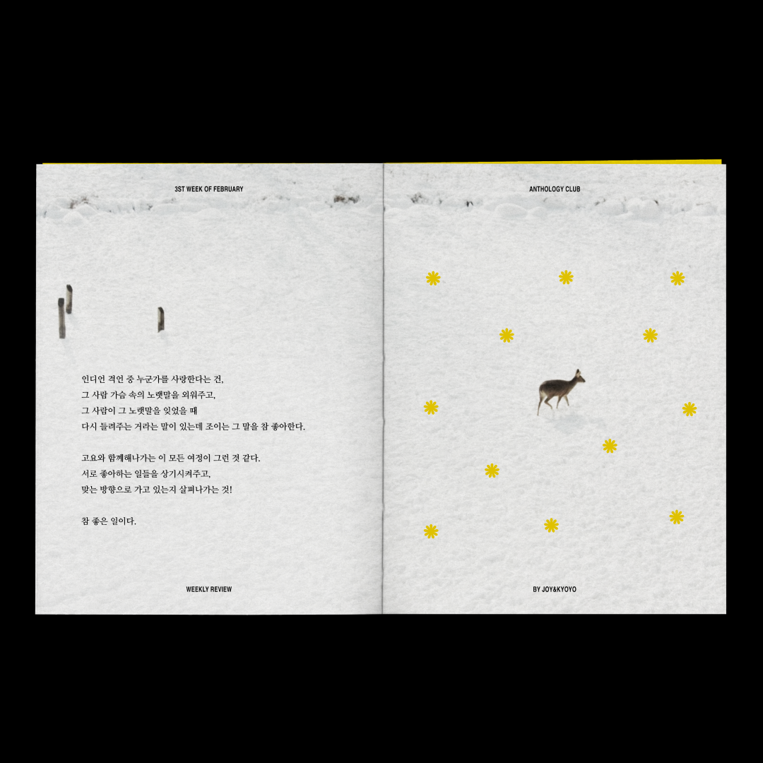 09화 2023년 2월 3주차 업무 일지