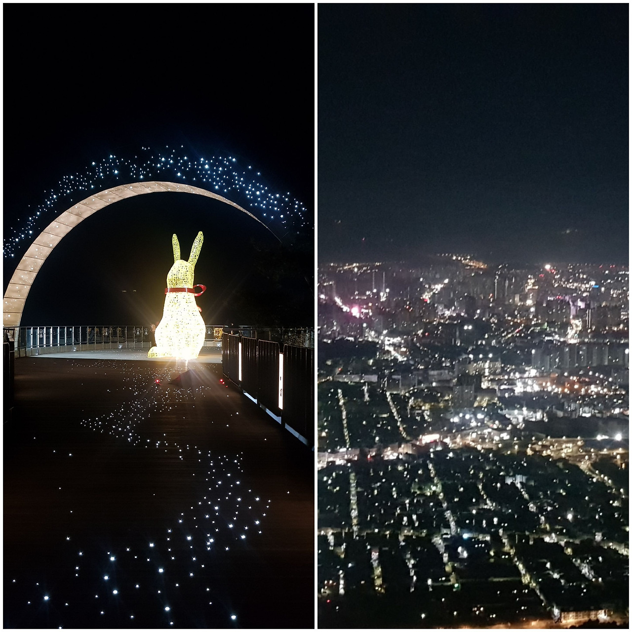 카지노 게임