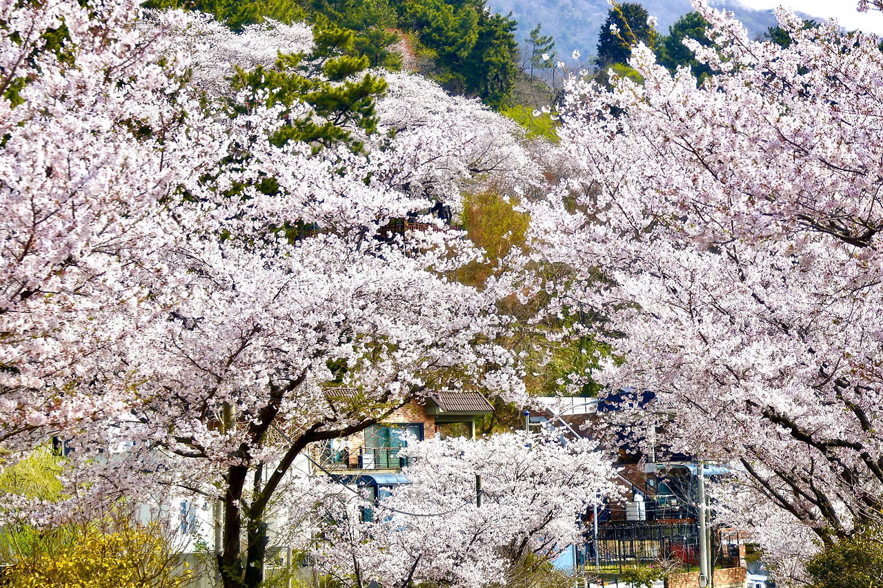 카지노 게임 사이트