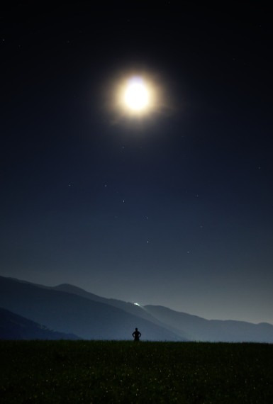 무료 카지노 게임
