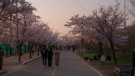 카지노 게임