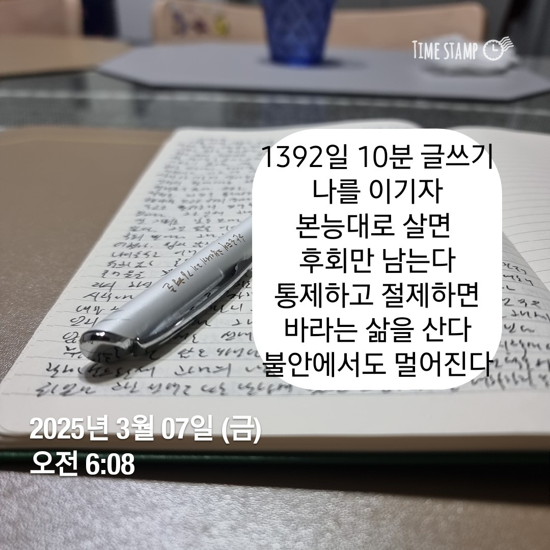 카지노 게임