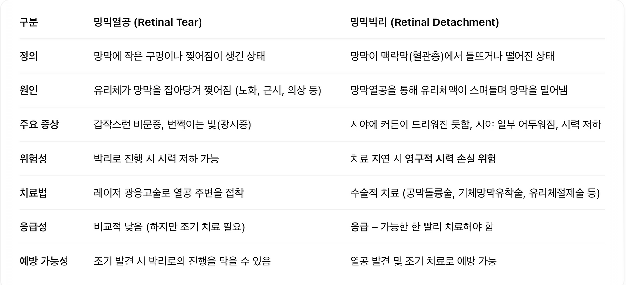 온라인 카지노 게임