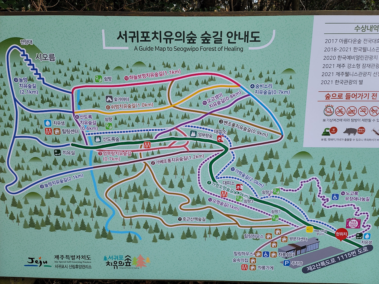 소울치유의숲 이미지