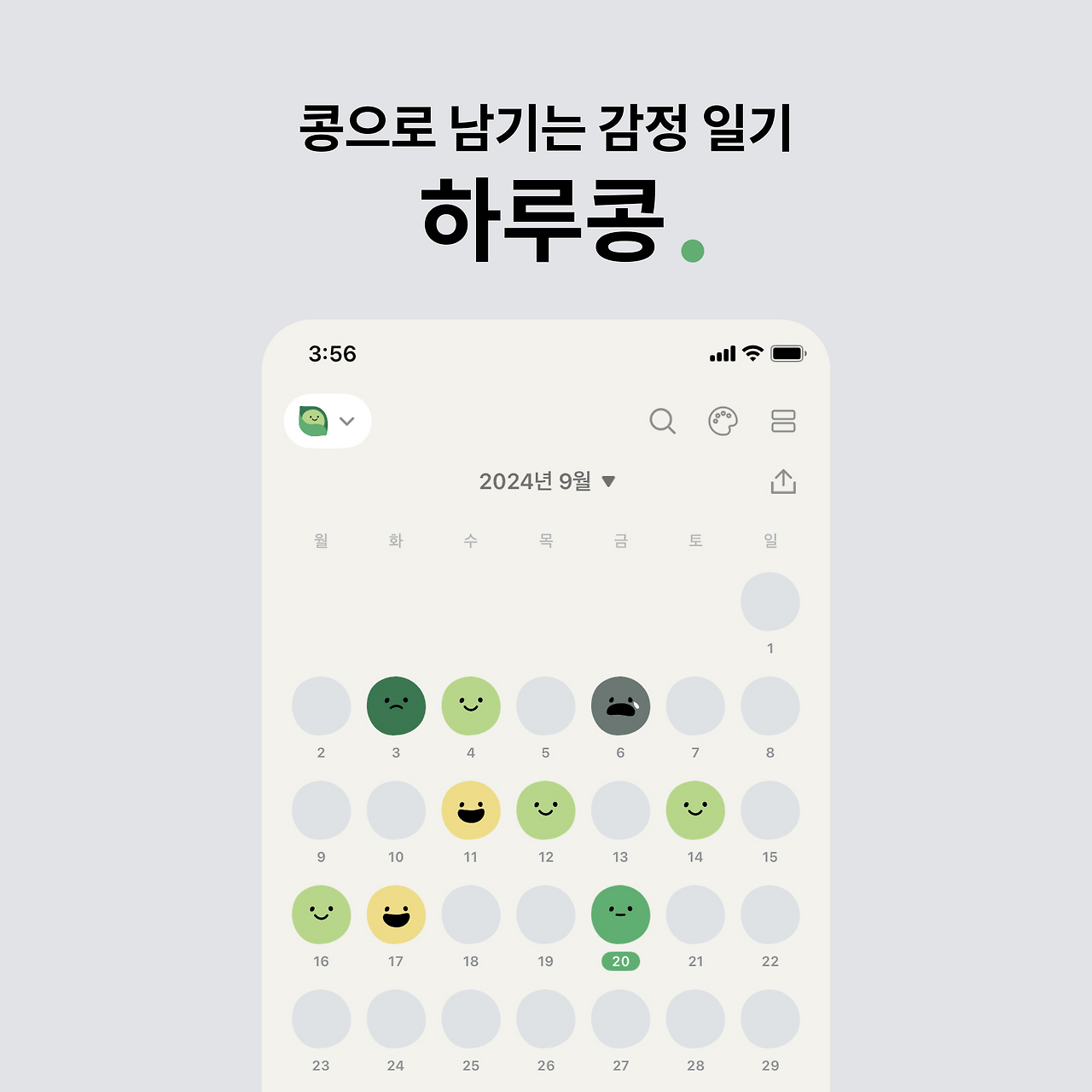 10화 콩으로 남기는 감정 일기, 하루콩