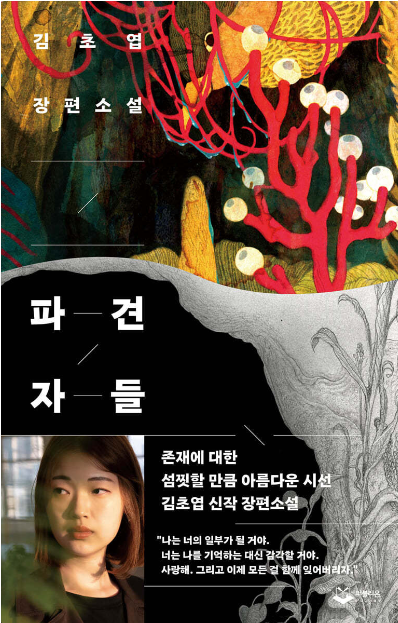카지노 쿠폰