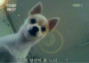 카지노 전략