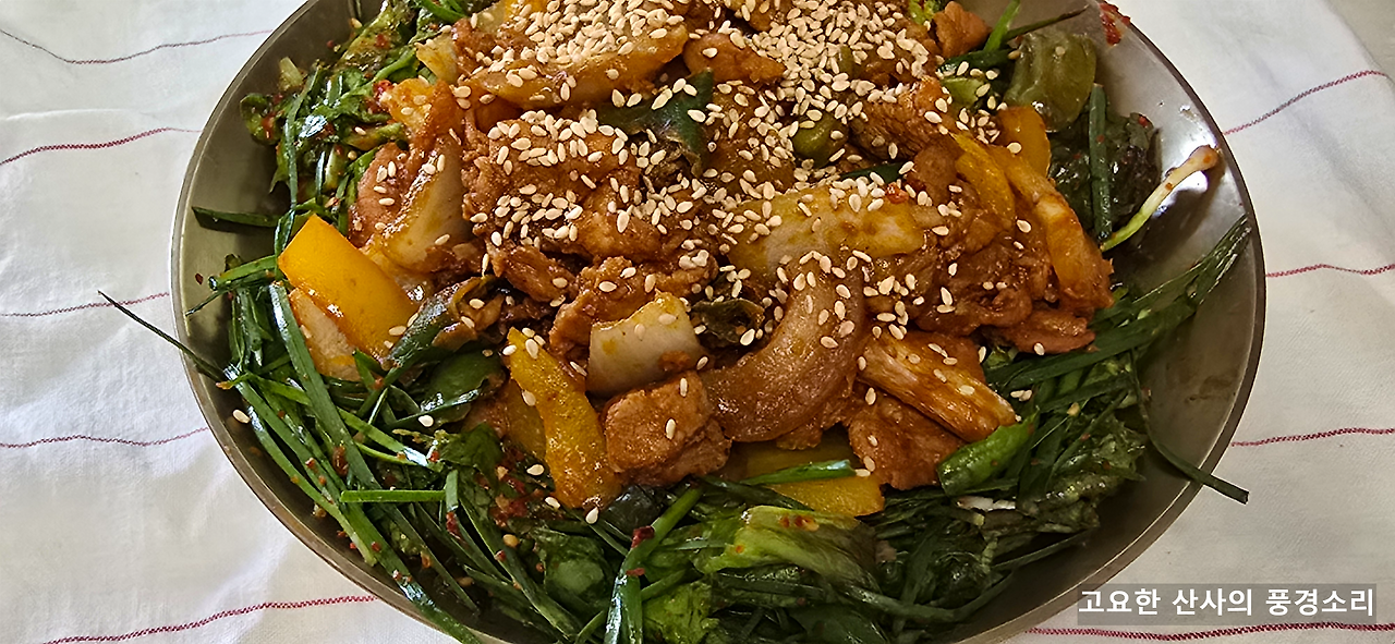 카지노 쿠폰