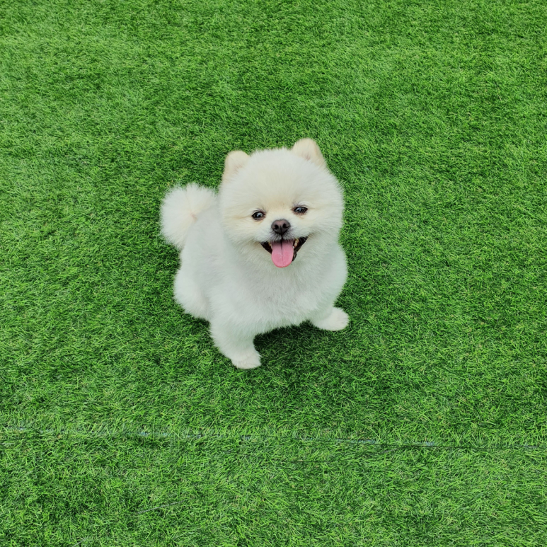 카지노 게임 사이트