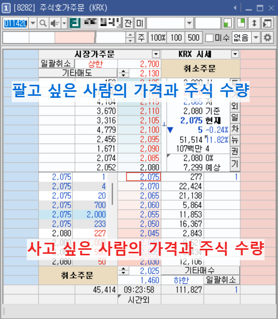 카지노 게임 사이트