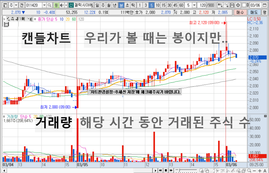 카지노 게임 사이트