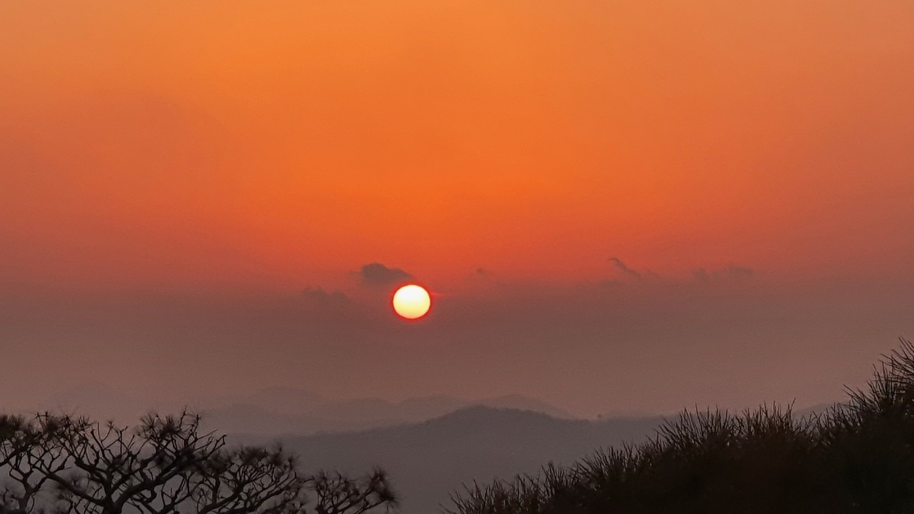 카지노 쿠폰
