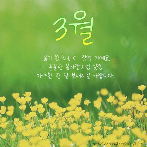3월은 시작