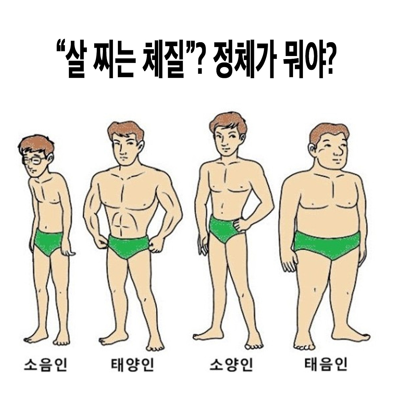 살찌는 유전자'의 종류