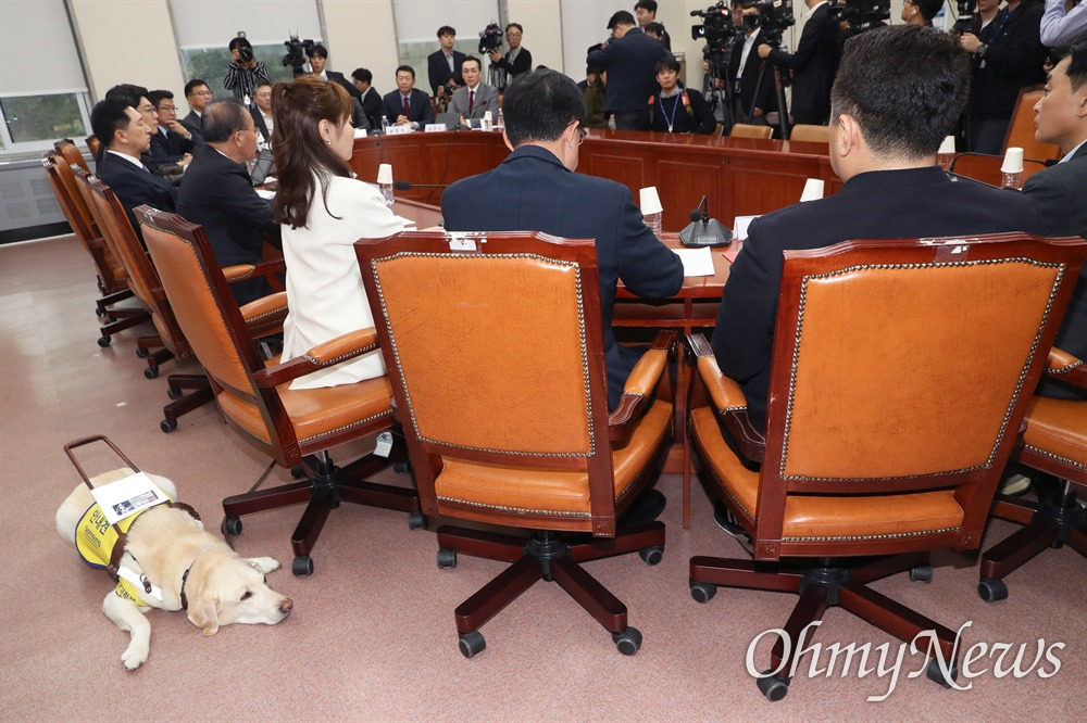 무료 카지노 게임