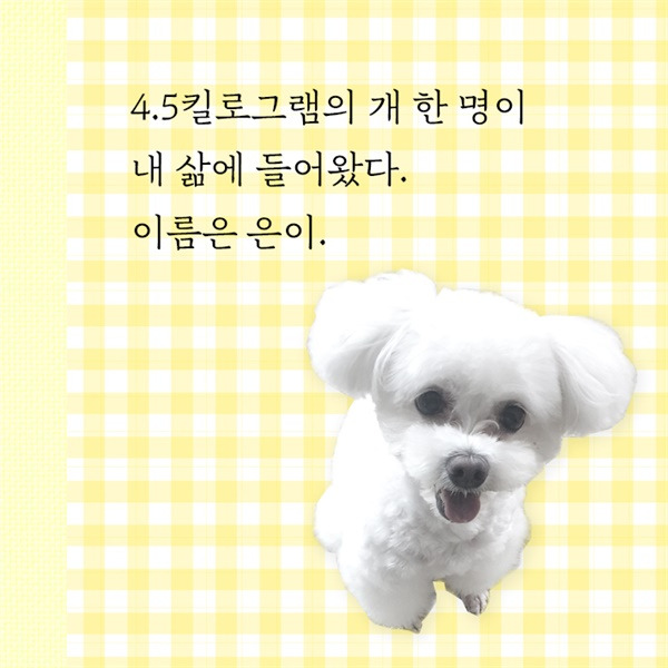 카지노 가입 쿠폰