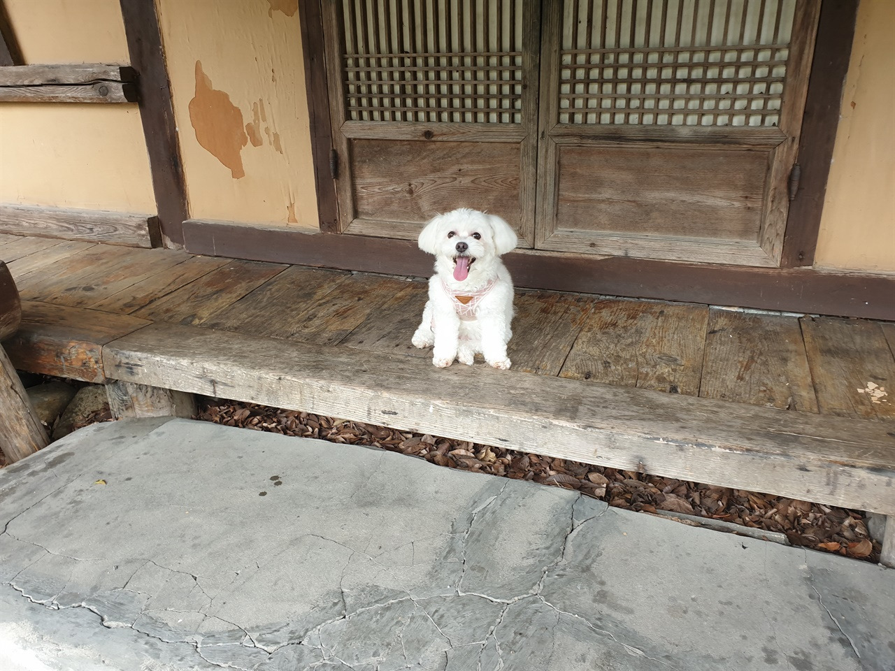 무료 카지노 게임