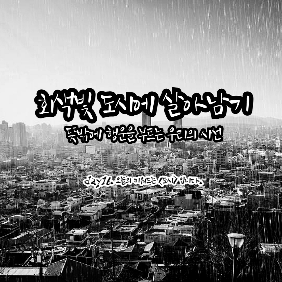 카지노 쿠폰