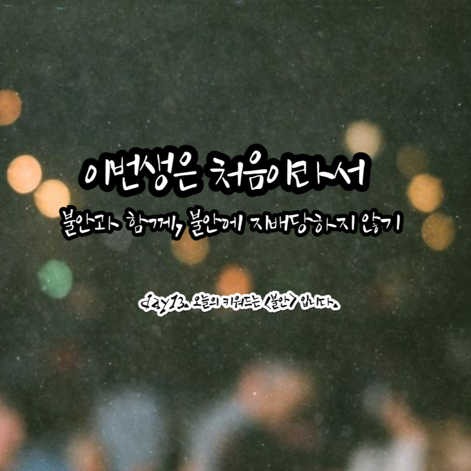 카지노 게임