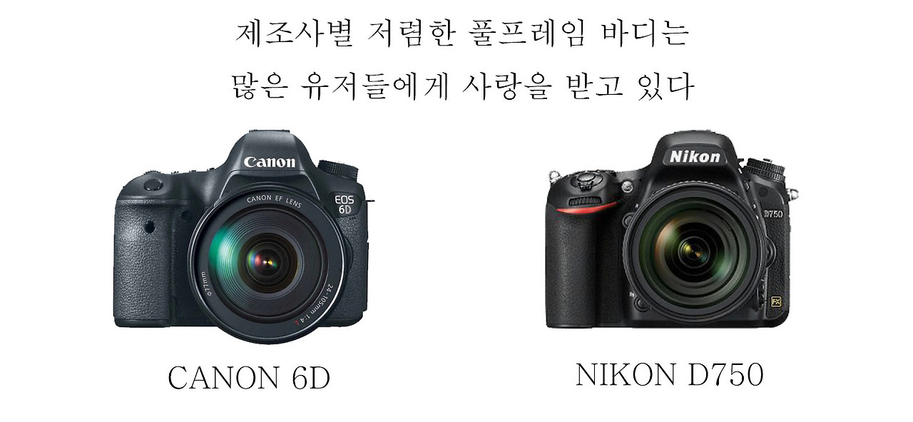 DSLR 구매 전 필독 : 크롭 바디와 풀프레임