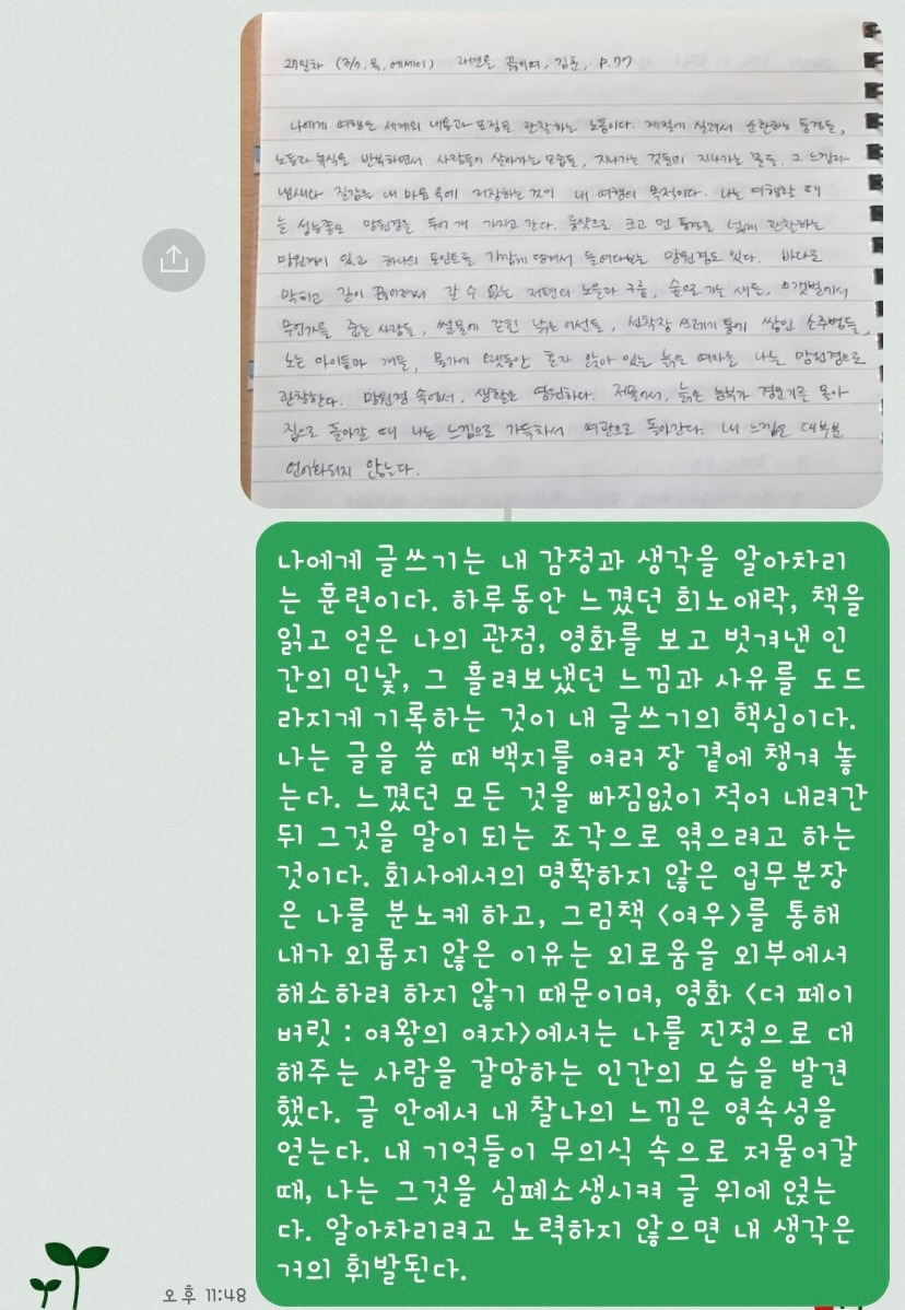카지노 쿠폰