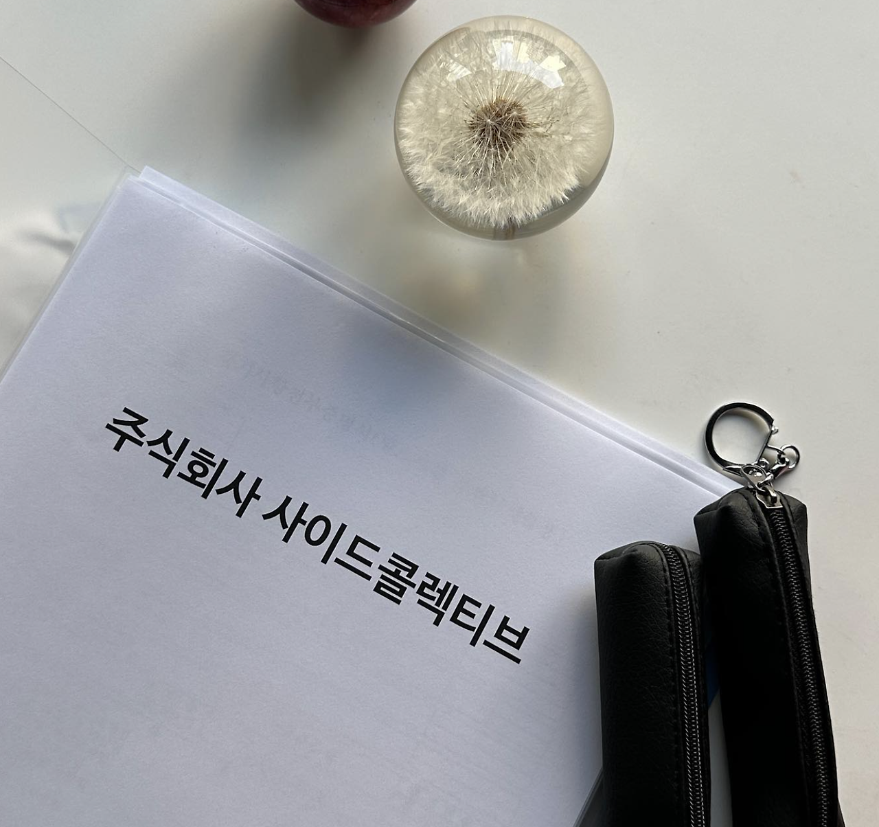 법인을 냈다