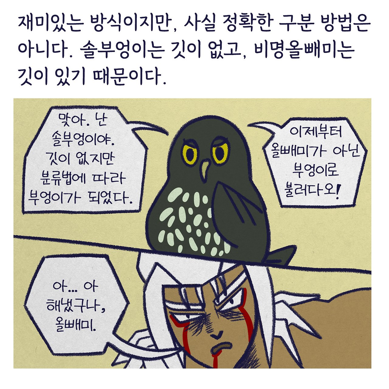 올빼미와 부엉이 구분법