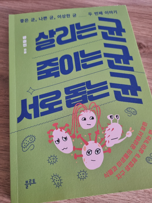 무료 카지노 게임