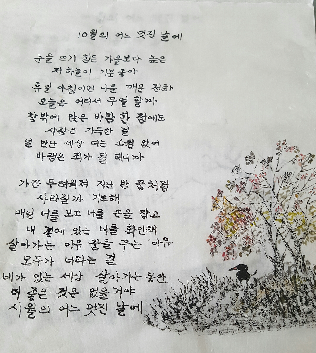 시월이 가고 있네요