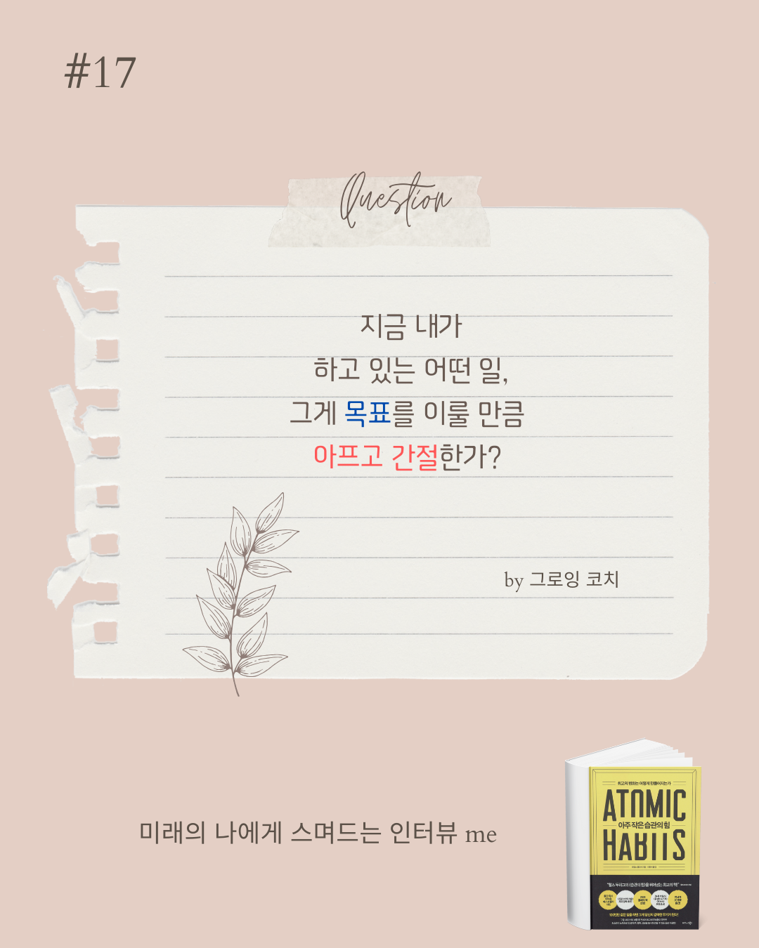 카지노 쿠폰
