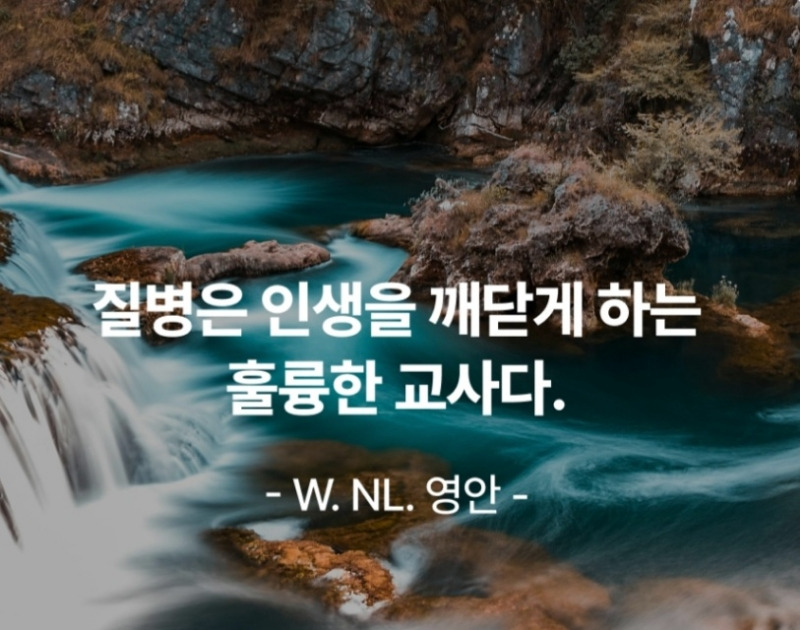 메이저카지노