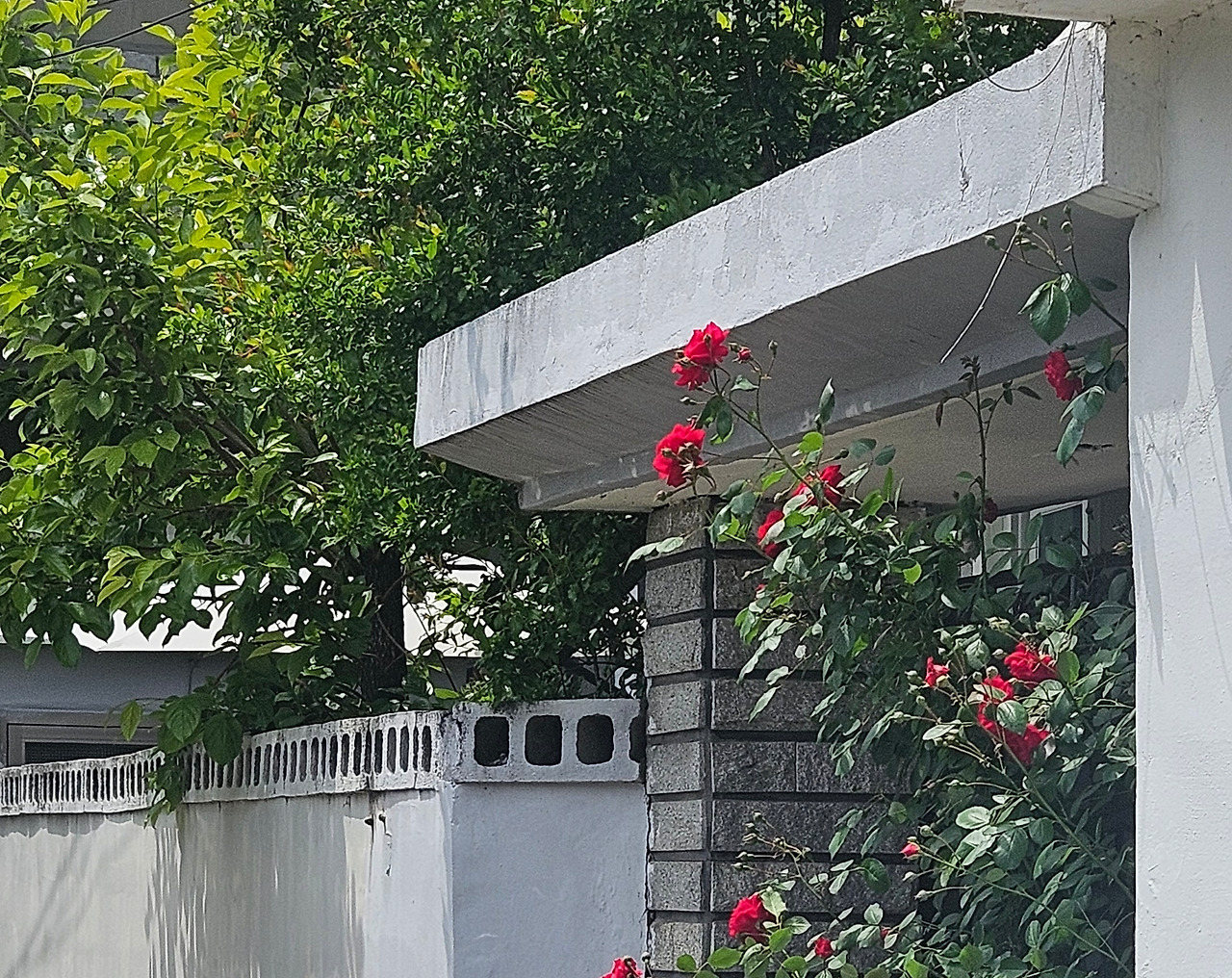 카지노 쿠폰