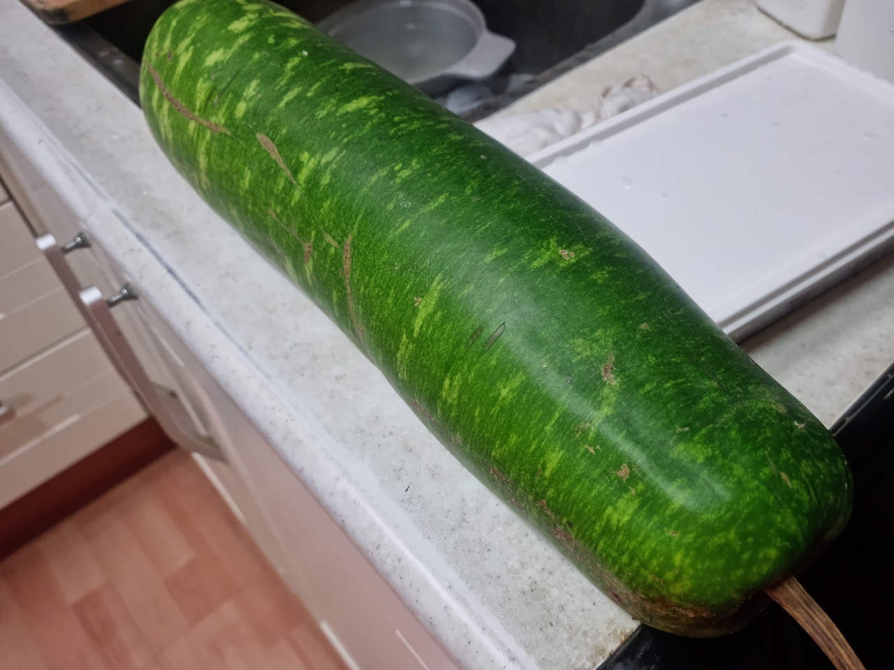 10화 처음 맛본,박소고기국