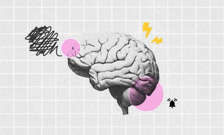카지노 게임 사이트