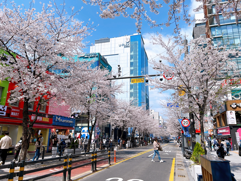 카지노 게임 사이트