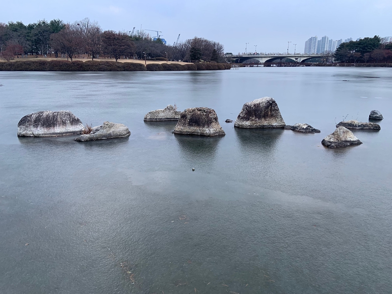 바카라 대박 디시