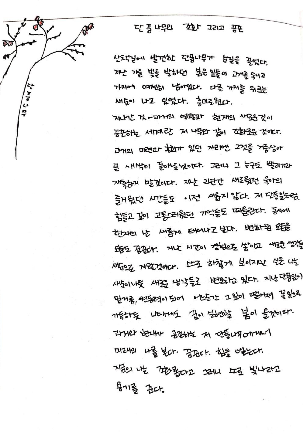 23화 [라빛 시] 단풍나무에 담긴 조화와 공존