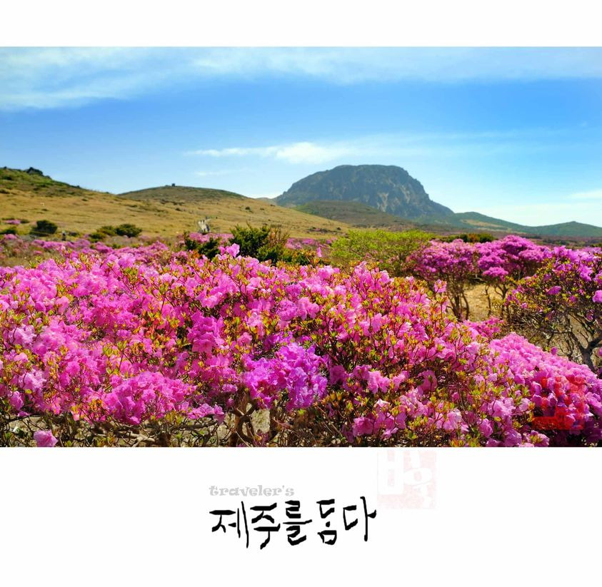 여섯 달만의 상봉