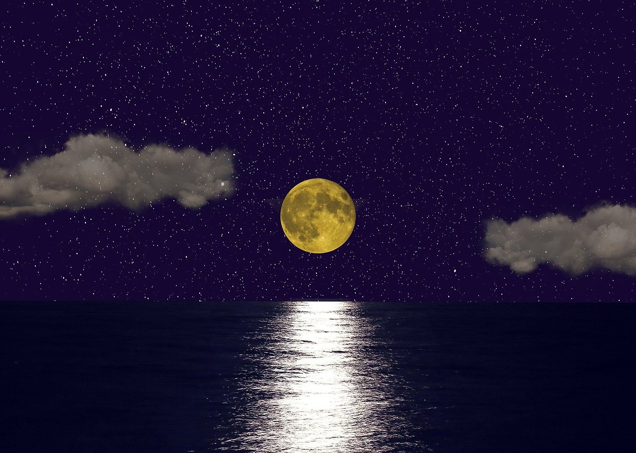 『달빛 서재 시』달과 별의 숨바꼭질