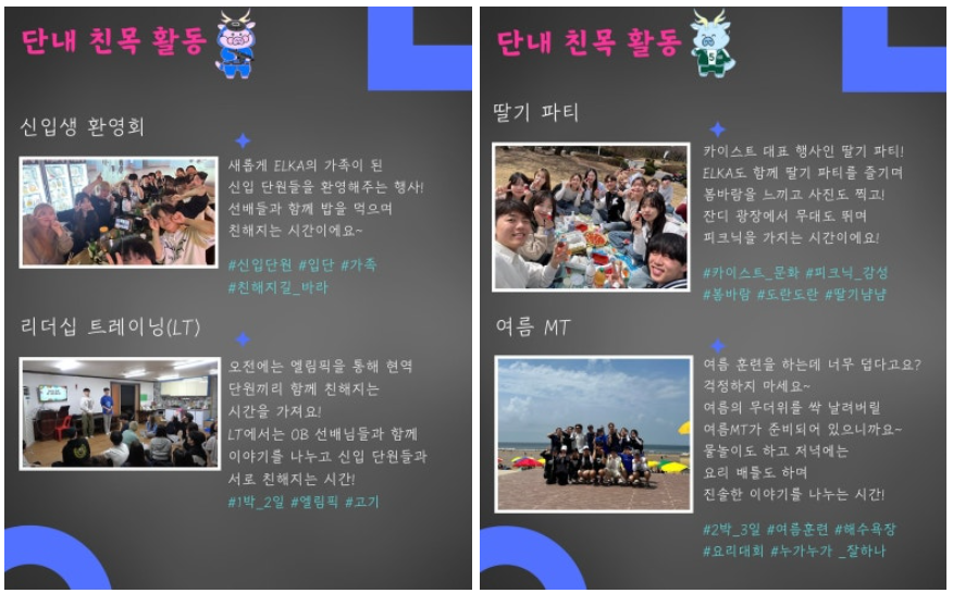 카지노 게임 추천