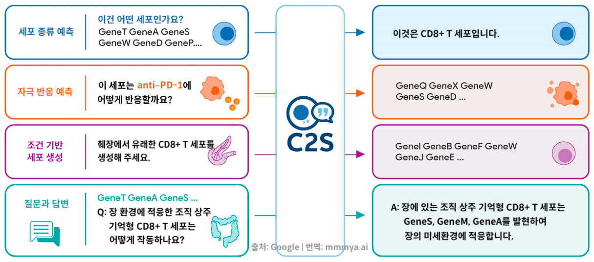C2S-Scale 기능을 번역한 이미지. 원본 출처: 구글 | 편집: 먀.ai