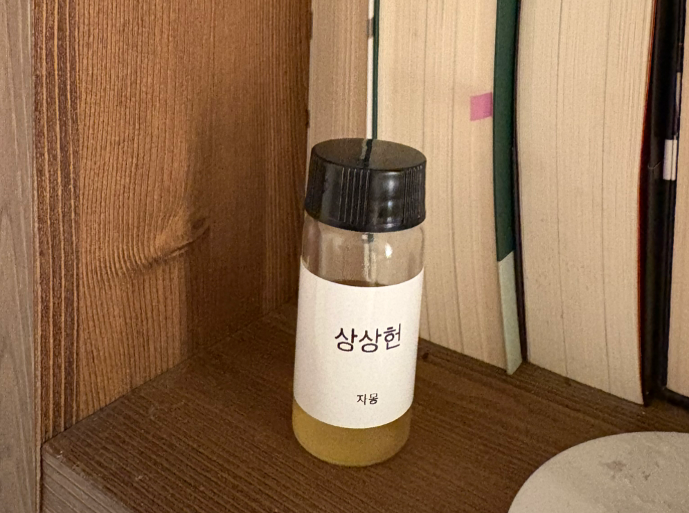무료 카지노 게임