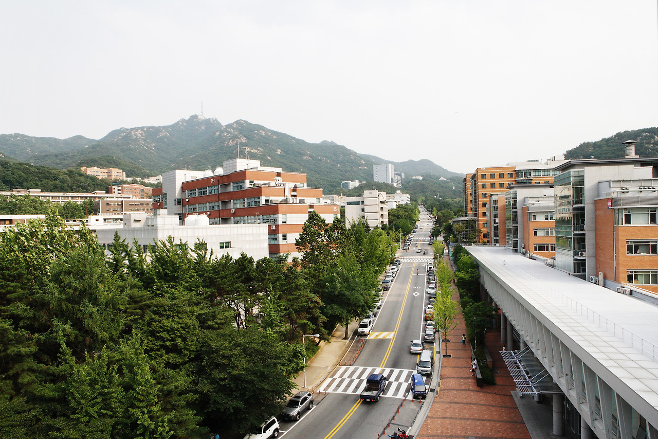 카지노 게임 사이트