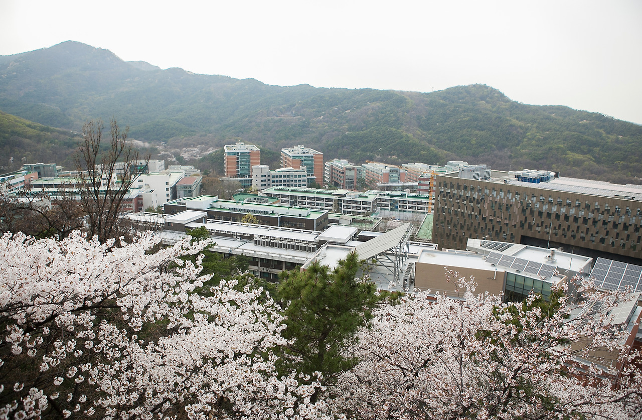 카지노 쿠폰