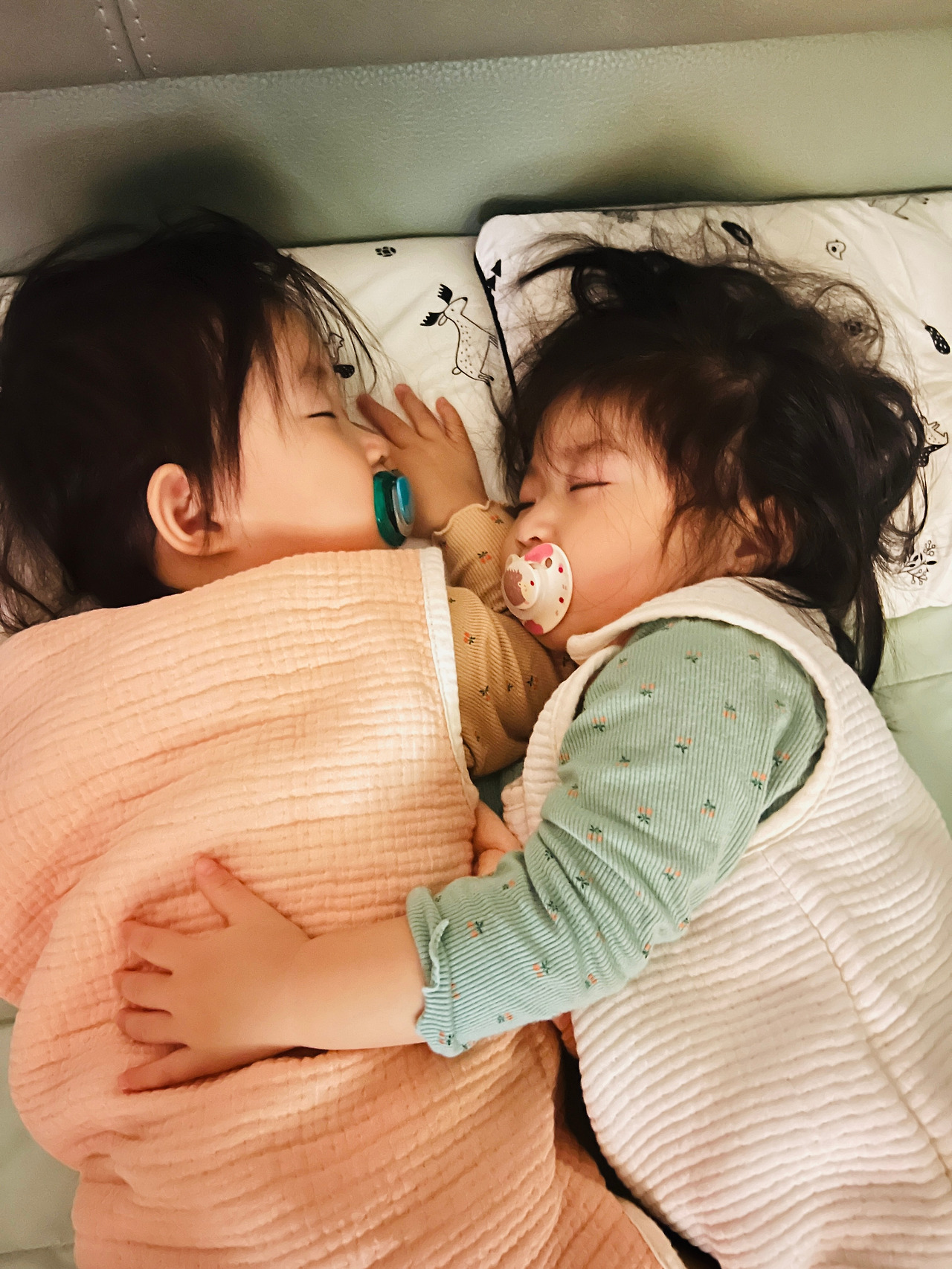 카지노 게임 사이트