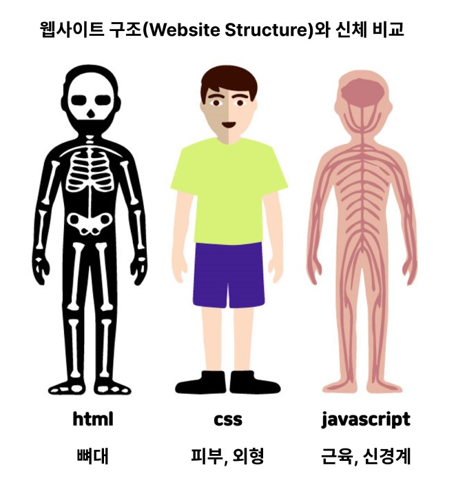 애증의 멜론티켓 메인 웹페이지 프론트엔드 분석