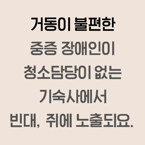 카지노 게임 추천
