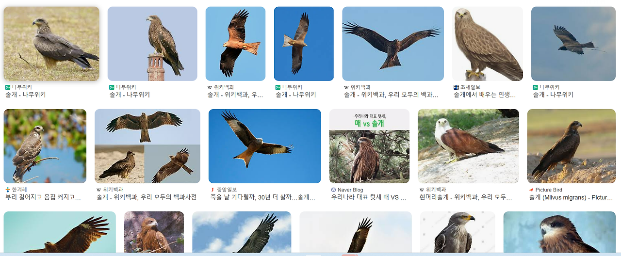 카지노 게임 추천