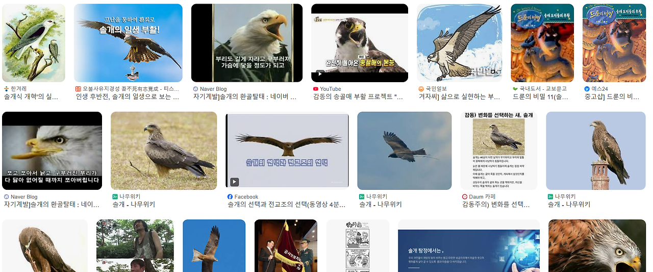 카지노 게임 추천