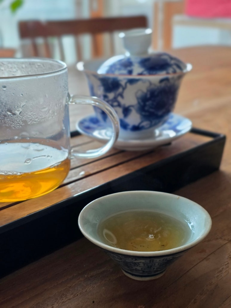 카지노 게임 사이트
